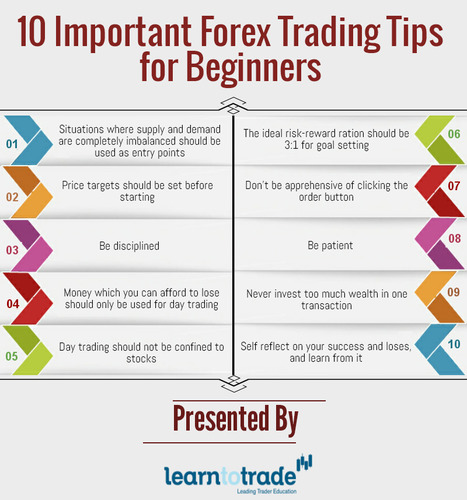 10 Important Forex Trading Tips For Beginners - 