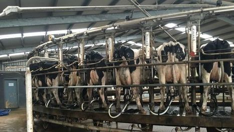 Australie : Parmalat et ses producteurs laitiers n'ont pas réussi à conclure un accord contractuel | Lait de Normandie... et d'ailleurs | Scoop.it