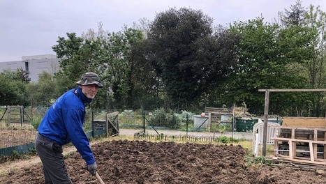 Confinement. Les jardins familiaux ouverts mais avec des règles strictes à Vannes | L'actualité des quartiers politique de la ville de Bretagne et Pays de la Loire | Scoop.it