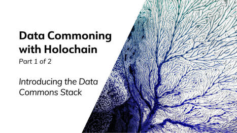 Data Commoning with Holochain Pt.1 | Networked Society | Scoop.it