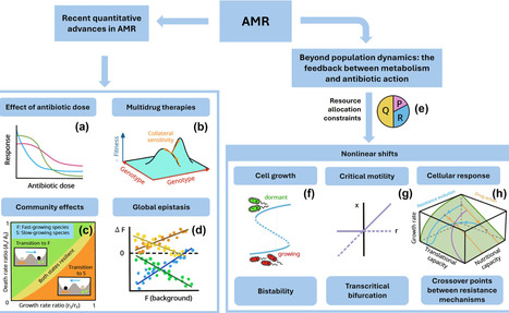 From cells to populations: multi-scale quantitative approaches to antimicrobial resistance | cin | RMH | Scoop.it