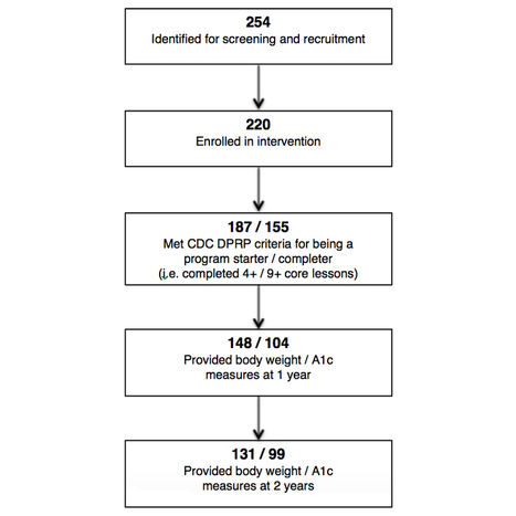 Long-Term Outcomes of a Web-Based Diabetes Prevention Program: 2-Year Results of a Single-Arm Longitudinal Study | Social marketing - Health Promotion | Scoop.it