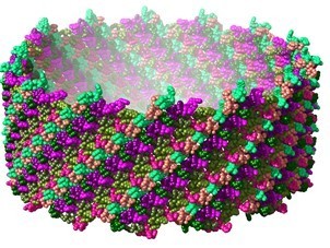 Cryo-EM allows entering the fabulous nanometric world of peptide assemblies | I2BC Paris-Saclay | Scoop.it