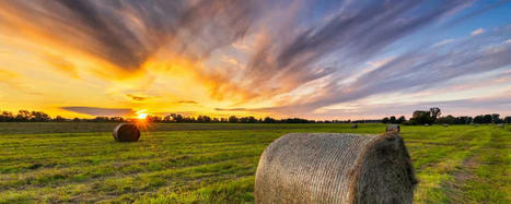 L'agriculture biologique responsable de l'augmentation des pesticides dans les champs voisins ! | Attitude BIO | Scoop.it
