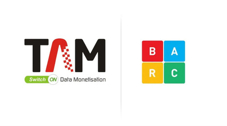 Can TAM be trusted again, and can India support two ratings currencies? | AVIA commentary news | Scoop.it