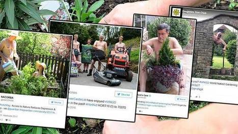 luolastoja ja lohi käärmeitä sarja kuva porno