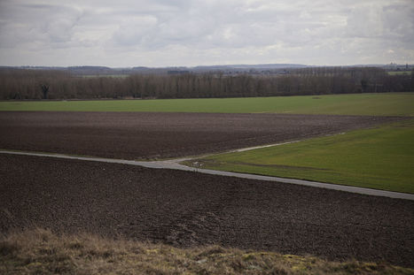 Recréer la nature sur les friches industrielles | Variétés entomologiques | Scoop.it