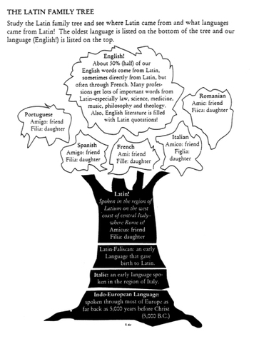 How has Latin influenced the English language? | Linguistics & Language Neurology | Scoop.it