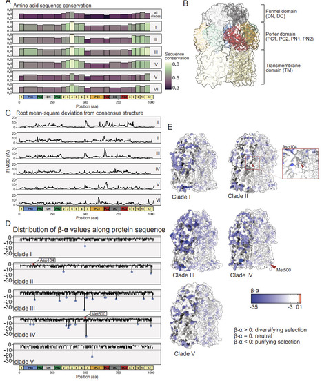Plant associated bacteria are a rich reservoir for multidrug efflux pumps | brvsys | RMH | Scoop.it