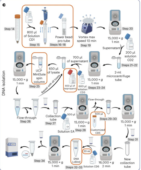 Improved sampling and DNA extraction procedures...