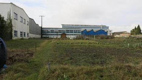 Ancien site Malbranque à Illies: désormais, appelez-le Weppes Park - La Voix du Nord | Reconversion de friches | Scoop.it