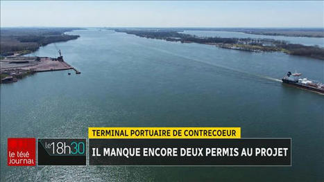 Segment | Le Téléjournal Montréal avec Patrice Roy | ICI Radio-Canada.ca Télé | Ils parlent de nous ! | Scoop.it