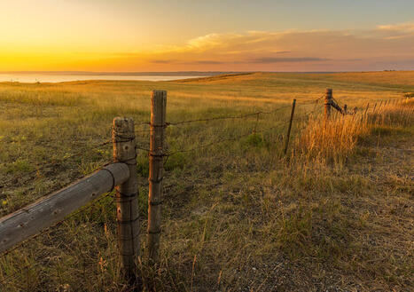 Andy Ogan Photography | Digital Photography | Scoop.it