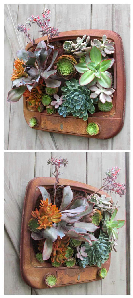 Planted Tv | 1001 Gardens ideas ! | Scoop.it