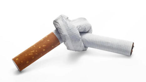 M&eacute;gots transform&eacute;s en supercondensateurs : une solution &eacute;cologique innovante | Plan&egrave;te DDurable | Scoop.it