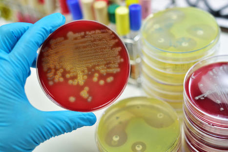 Medisite : "Une bactérie dangereuse menace les hôpitaux du monde entier | Ce monde à inventer ! | Scoop.it