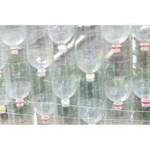 My plastic bottle greenhouse | Vintage Living Today For A Future Tomorrow | Scoop.it