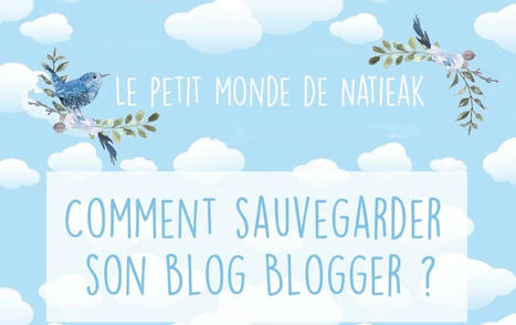 Sauvegarder son blog Blogger : tutoriel 2022 - Le petit monde de Natieak | Webmaster HTML5 WYSIWYG et Entrepreneur | Scoop.it