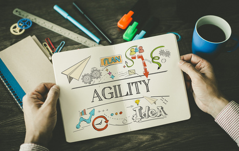 Welcome to the World of Agile Project Management - Luke Fitzpatrick | Tampa Florida Management Consulting | Scoop.it
