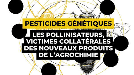 Nouveau rapport : les pollinisateurs, victimes collatérales des pesticides ARNi | Toxique, soyons vigilant ! | Scoop.it
