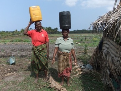 Africa's farm revolution - who will benefit? | Food & Nutrition Security in East Africa | Scoop.it