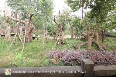 Street View : Google Maps fait la tournée des zoos | Cabinet de curiosités numériques | Scoop.it
