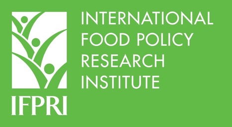 IFPRI Climate adaptation and job prospects for young people in agriculture  | CIHEAM Press Review | Scoop.it