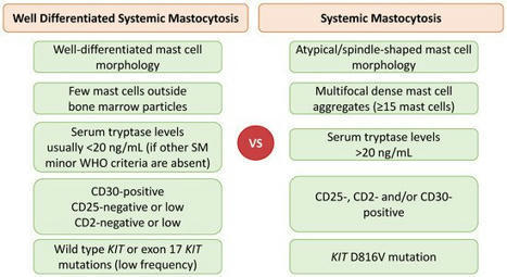 Cancers | Free Full-Text | Systemic Mastocytosis and Other Entities Involving Mast Cells: A Practical Review and Update | Systemic Mastocytosis, Tinnitus etc | Scoop.it