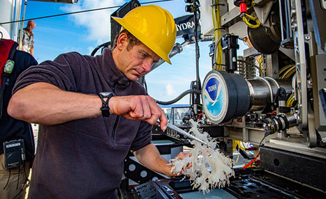 Okeanos Explorer | Expeditions | NOAA Ship Okeanos Explorer: CAPSTONE: 2016 and 2017 Field Seasons Overview | Sandy Beach Ecology & Management | Scoop.it