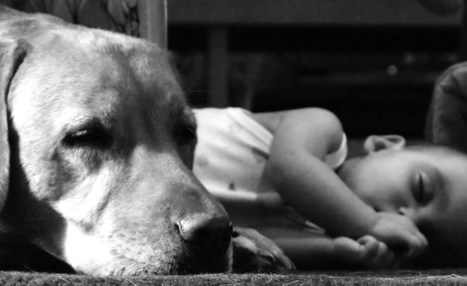 Babies Are Healthier When There Is a Dog at Home: Research | Science News | Scoop.it