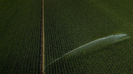 &laquo;&nbsp;Continuez d&rsquo;irriguer&nbsp;&raquo;&nbsp;: la Coordination rurale appelle les agriculteurs &agrave; ne pas respecter les restrictions d&rsquo;eau - Ouest France | Agriculture en Pays de la Loire | Scoop.it
