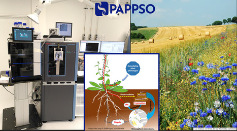 FOCUS PLATEFORME : PAPPSO renforce son engagement pour l&rsquo;agro&eacute;cologie avec l&rsquo;acquisition d&rsquo;un Orbitrap Astral sur son site de Gif-sur-Yvette | Life Sciences Universit&eacute; Paris-Saclay | Scoop.it