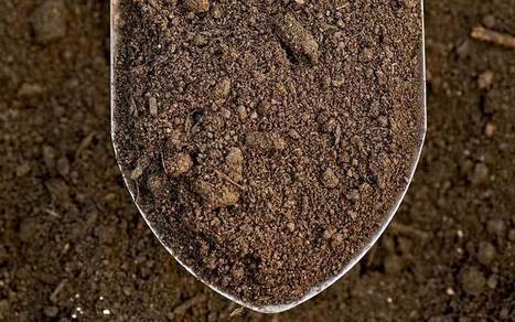 10 Easy Soil Tests | Gardening | Hobby | Hobby, LifeStyle and much more... (multilingual: EN, FR, DE) | Scoop.it
