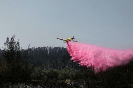 Watch: Israeli military combat wildfires as major highway blocked | The Independent | Operation Deimos | Scoop.it