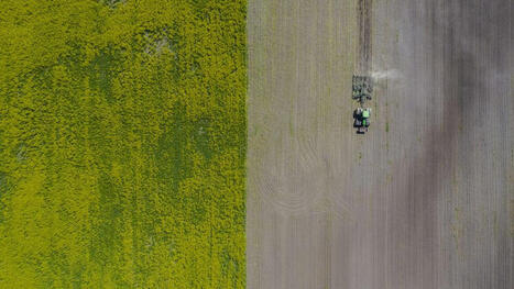 Asiantuntija: Iranin sota aiheutti Suomen ruokahyllyill&auml; karun tilanteen, jota edes tulitauko ei ratkaise &ndash; Ja siit&auml; k&auml;rsiv&auml;t kaikki | 1Uutiset - Lukemisen t&auml;hden | Scoop.it