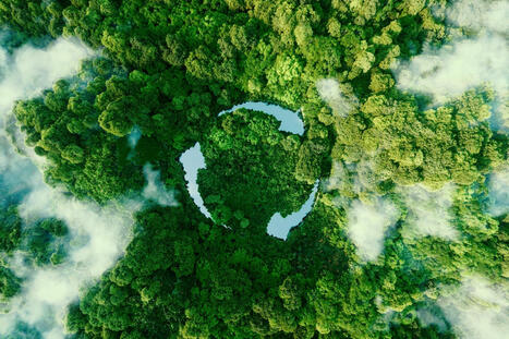 Sabio Group secures silver in EcoVadis sustainability assessment | EcoVadis Customer Success Stories | Scoop.it