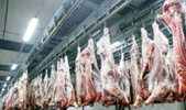 ​Maroc. Les abattoirs de Casablanca certifiés ISO 22000 pour la troisième fois consécutive | La Gazette des abattoirs | Scoop.it