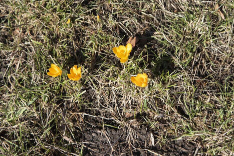 Loppuviikolle luvassa poikkeuksellista s&auml;&auml;t&auml; | 1Uutiset - Lukemisen t&auml;hden | Scoop.it