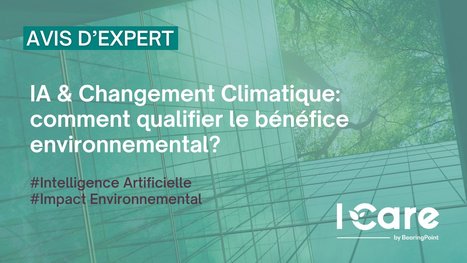 Avis d'Expert - IA & Changement Climatique: comment qualifier le bénéfice environnemental? | Biodiversité | Scoop.it