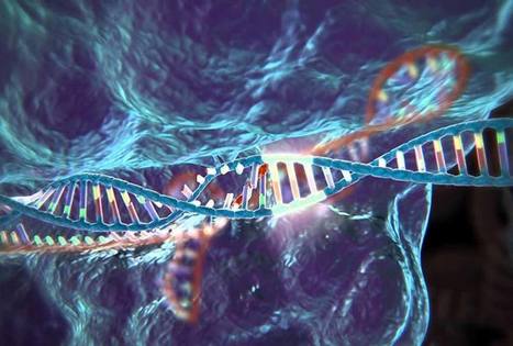 UP Magazine | Bio Innovations : "Ingénierie génétique, crispations sur CRISPR | Ce monde à inventer ! | Scoop.it