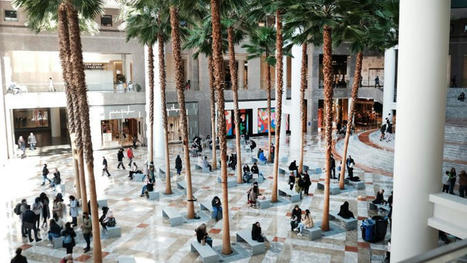 The US mall is making a comeback as retailers leverage digital marketing | CNN Business | consumer psychology | Scoop.it