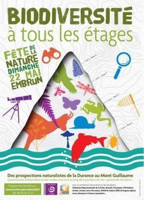 Biodiversité à tous les étages - La Lettre des Ecrins - 17 mai 2016 | Biodiversité | Scoop.it