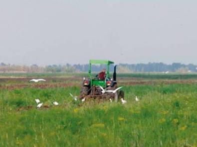 L’autosatisfaction à défaut d’une autosuffisance - Economie - El Watan | Agriculture et Alimentation Durable Méditerranéenne | Scoop.it