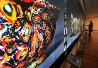 Avec un mur multi-touch de 12 mètres, le Cleveland Museum fait entrer la médiation numérique dans une nouvelle dimension | Cabinet de curiosités numériques | Scoop.it