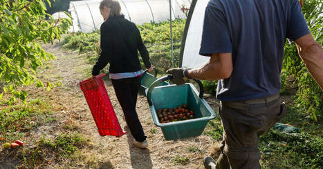 Des think tanks proposent &laquo;&nbsp;l&rsquo;emploi vert&nbsp;&raquo; | Vari&eacute;t&eacute;s entomologiques | Scoop.it