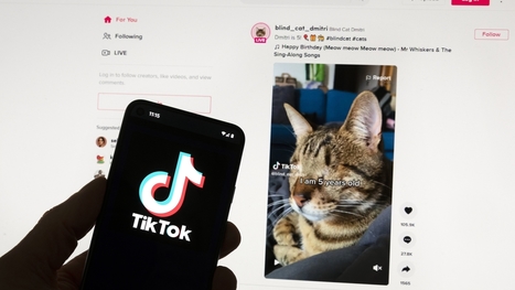 Bill to ban TikTok or require its sale passes House | by Bobby Allyn | NPR.org | Surfing the Broadband Bit Stream | Scoop.it