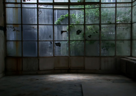 BLANCHE RHAPSODIE : Plongée fascinante dans les ruines de la prestigieuse école de la rue Blanche | Revue de presse théâtre | Scoop.it