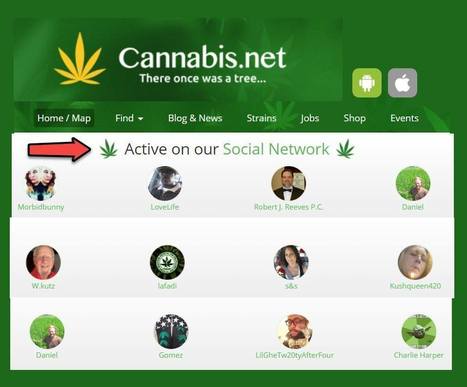 The Cannabis Social Network For Bud Smokers | Cannabis.Net | Scoop.it