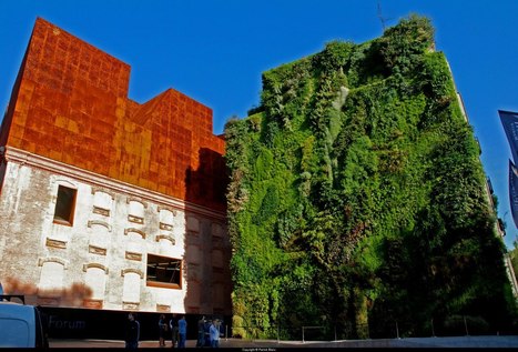 [innovation] Des chercheurs espagnols testent le béton vert | Build Green, pour un habitat écologique | Scoop.it