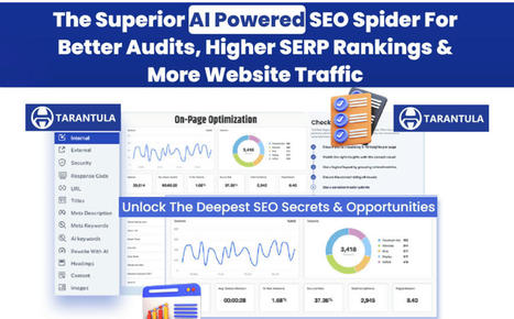High Quality SEO Audits With Tarantula SEO Spider  | Online Marketing Tools | Scoop.it